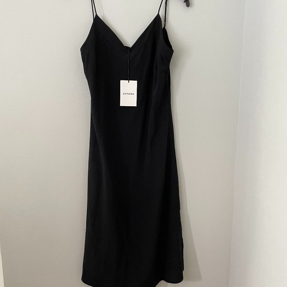 Cuyana 100% silk slip dress